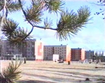 capture035.jpg (20662 bytes)